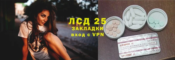 прущие грибы Аркадак