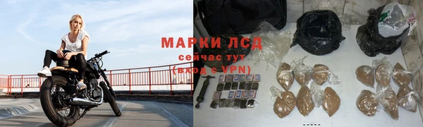 прущие грибы Аркадак