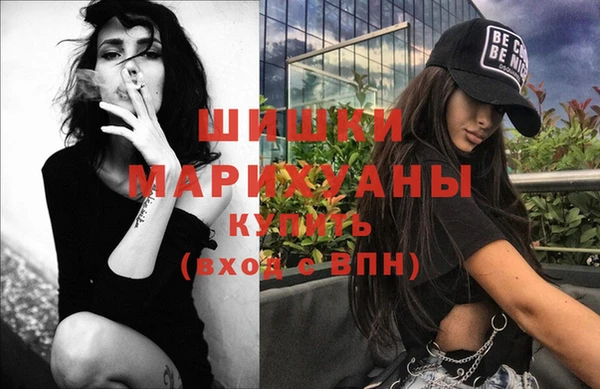 прущие грибы Аркадак