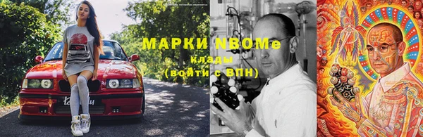 прущие грибы Аркадак