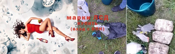 a pvp Пересвет