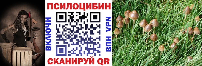 Галлюциногенные грибы MAGIC MUSHROOMS  купить   Буинск 