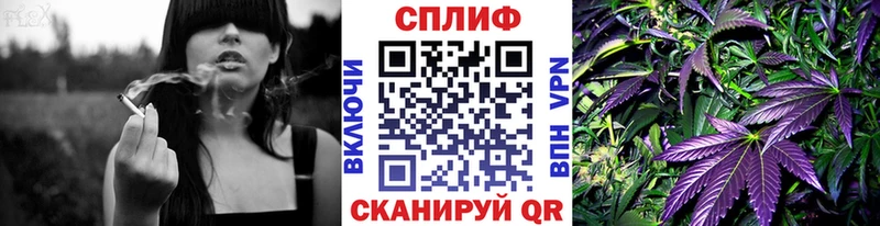 где купить наркотик Буинск Бошки марихуана индика